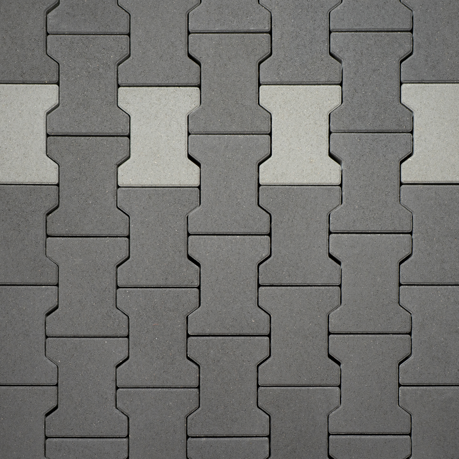 Classic Bone - Image 3