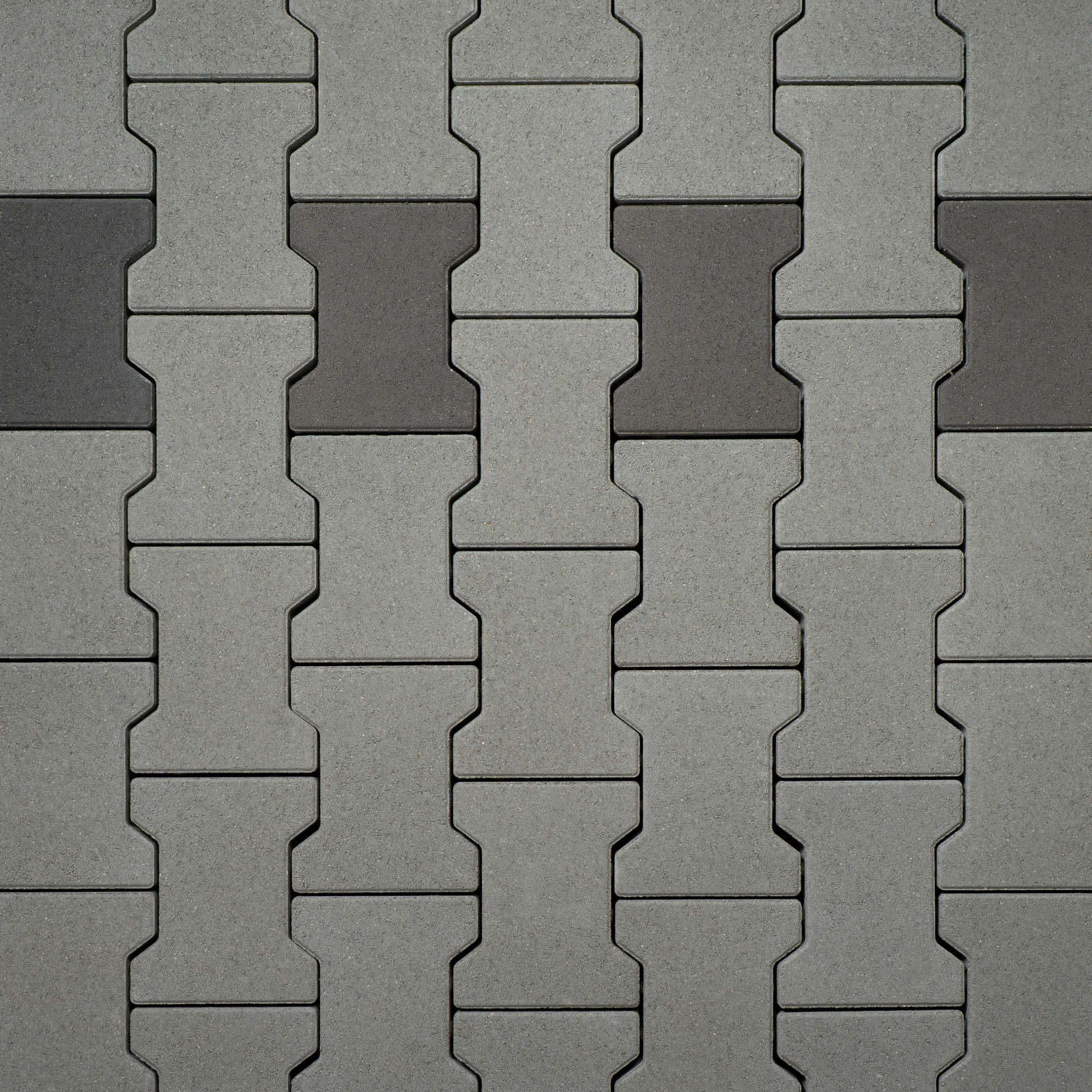 Classic Bone - Image 4