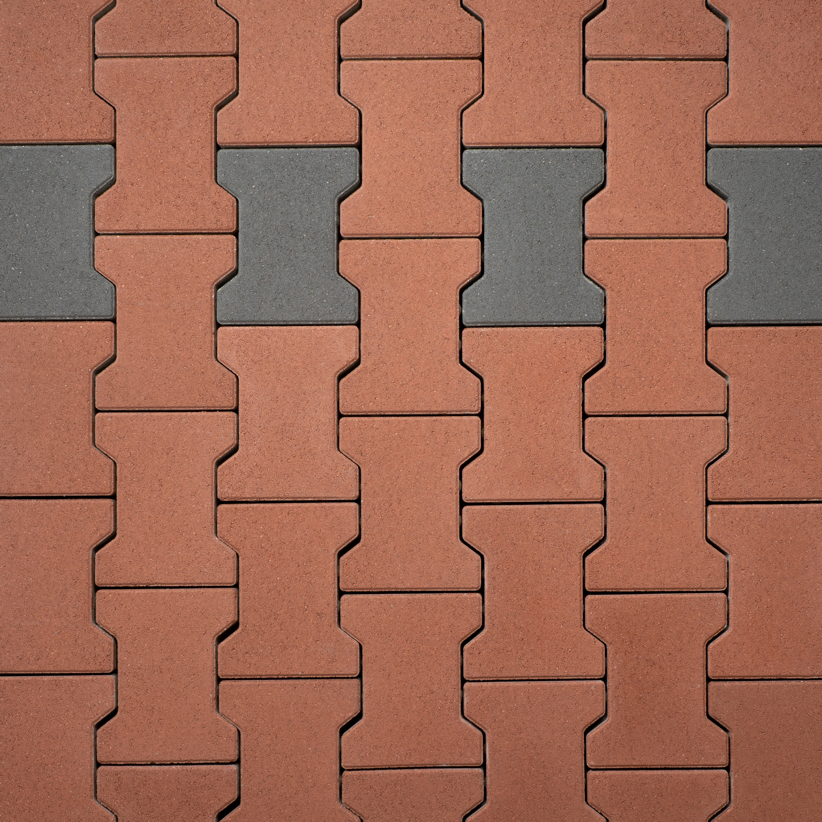 Classic Bone - Image 1