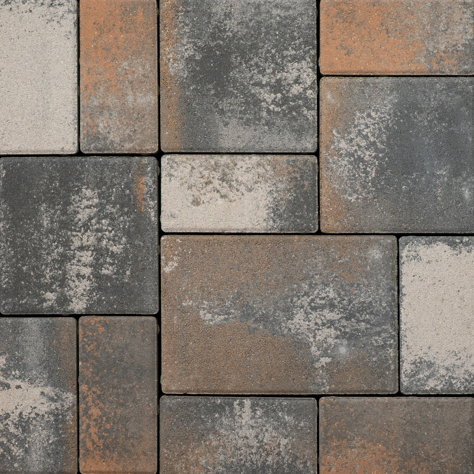 Urban First Giant - Image 6