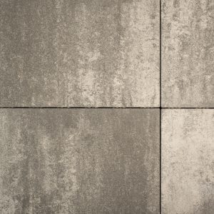 Shadow Privilege - Image 3