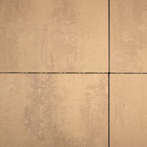 Shadow Privilege - Image 4