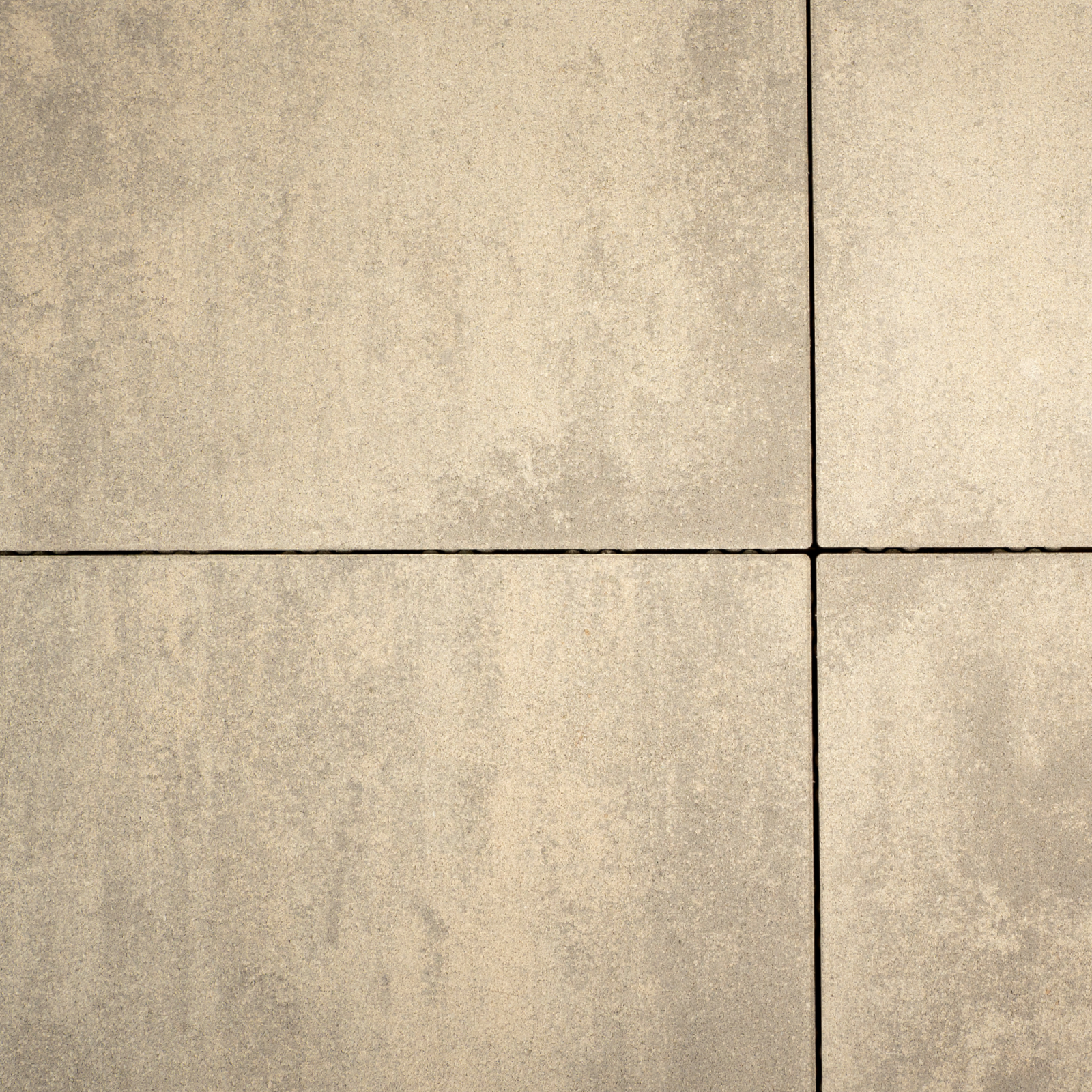 Shadow Privilege - Image 1